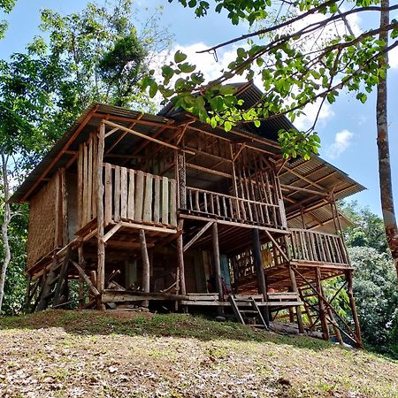 Orangutantreksumatra & Lovely Jungle Lodge Only Book If You Are Treking With Us Bukit Lawang Exterior photo