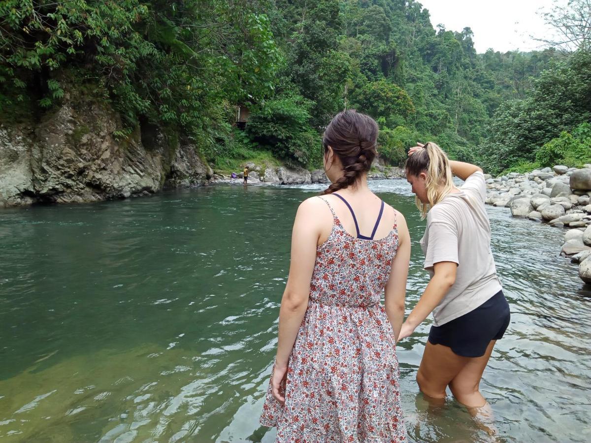 Orangutantreksumatra & Lovely Jungle Lodge Only Book If You Are Treking With Us Bukit Lawang Exterior photo