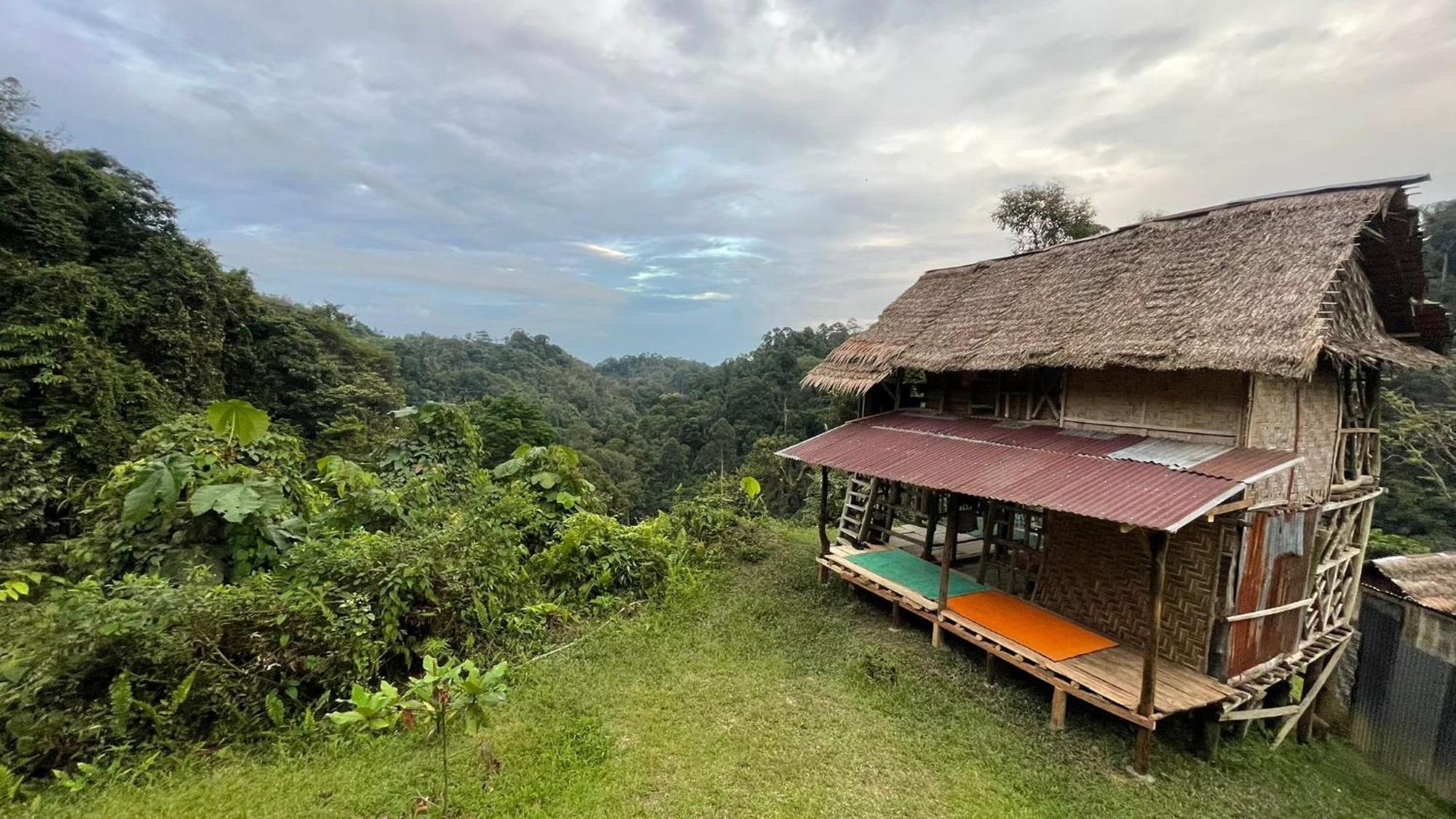 Orangutantreksumatra & Lovely Jungle Lodge Only Book If You Are Treking With Us Bukit Lawang Room photo