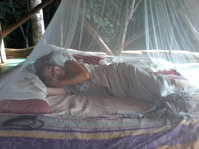Orangutantreksumatra & Lovely Jungle Lodge Only Book If You Are Treking With Us Bukit Lawang Room photo