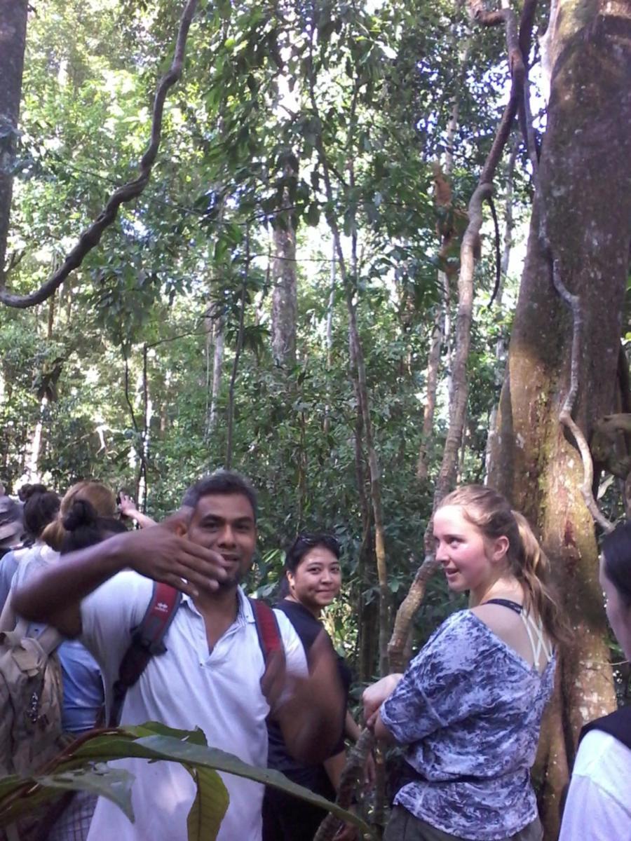 Orangutantreksumatra & Lovely Jungle Lodge Only Book If You Are Treking With Us Bukit Lawang Room photo