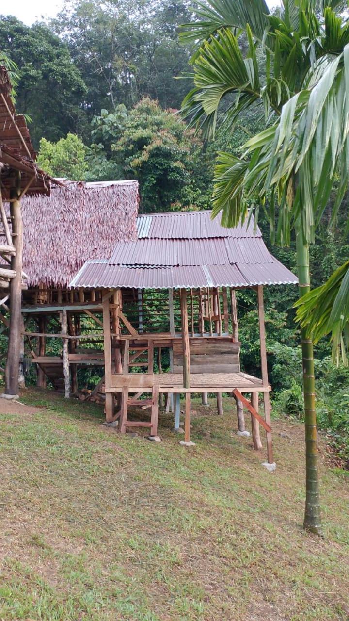 Orangutantreksumatra & Lovely Jungle Lodge Only Book If You Are Treking With Us Bukit Lawang Exterior photo