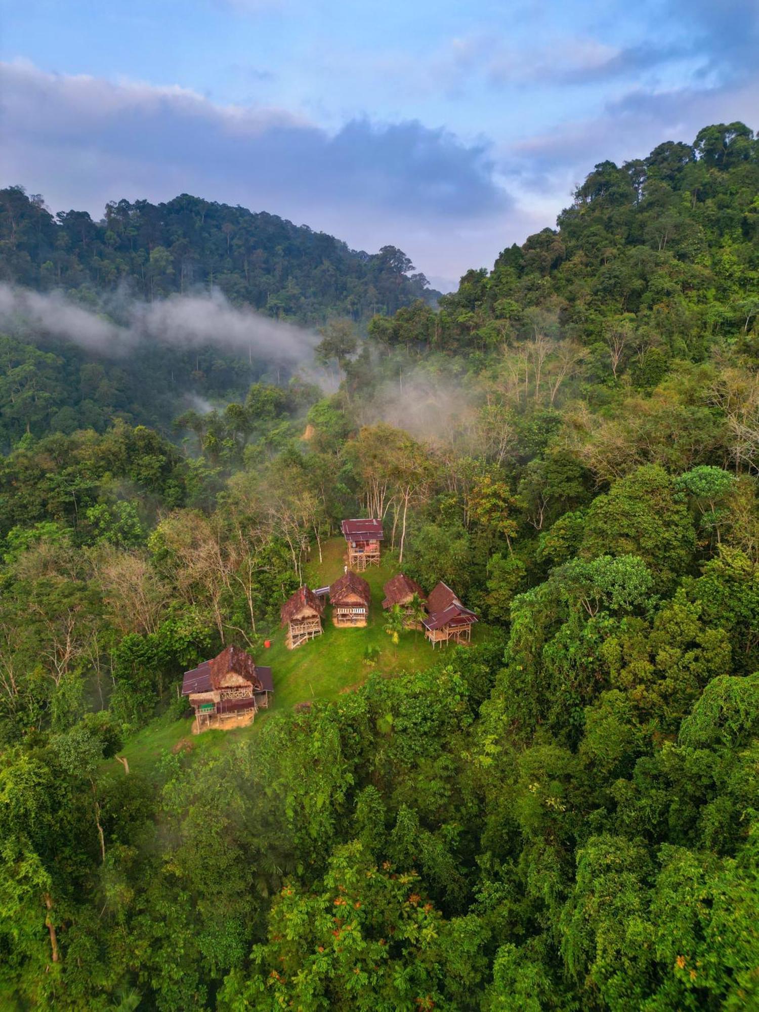 Orangutantreksumatra & Lovely Jungle Lodge Only Book If You Are Treking With Us Bukit Lawang Exterior photo