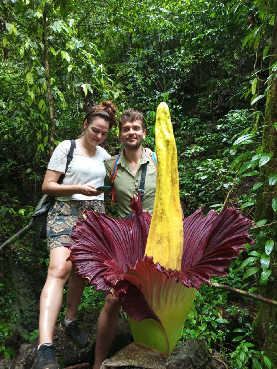 Orangutantreksumatra & Lovely Jungle Lodge Only Book If You Are Treking With Us Bukit Lawang Exterior photo