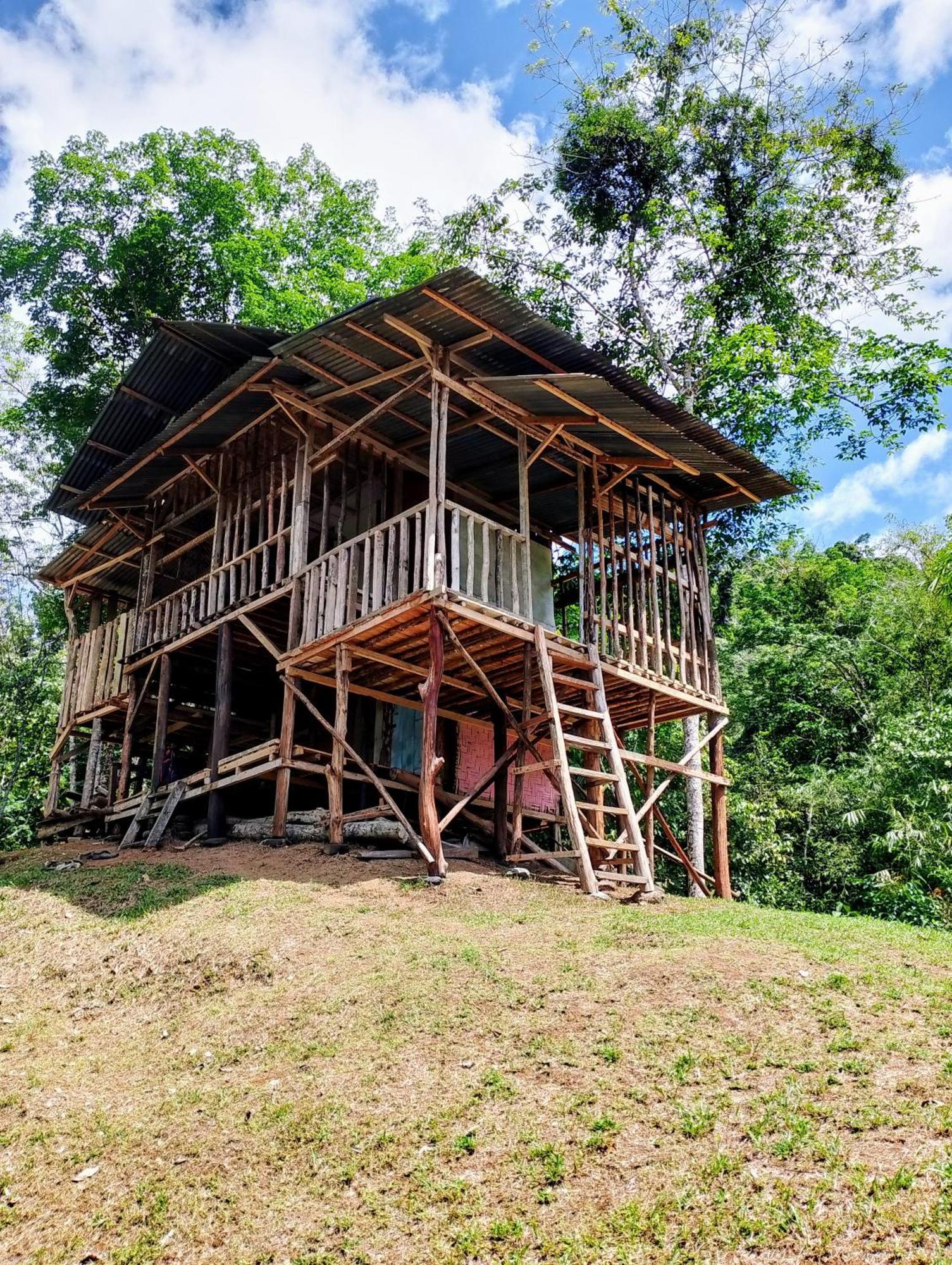 Orangutantreksumatra & Lovely Jungle Lodge Only Book If You Are Treking With Us Bukit Lawang Exterior photo