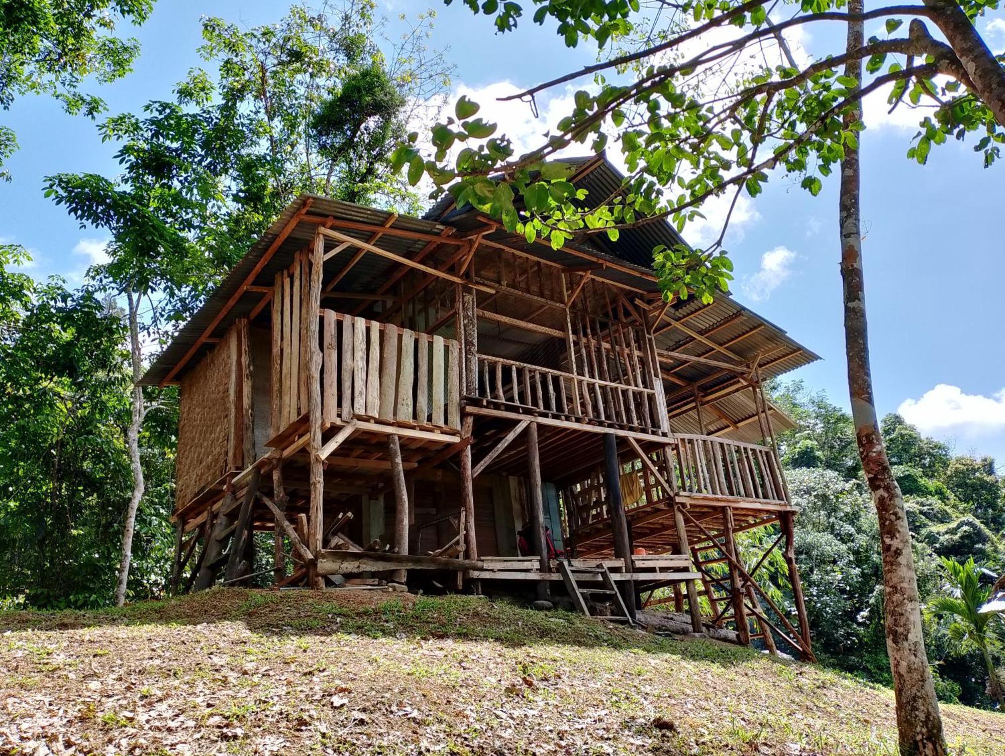 Orangutantreksumatra & Lovely Jungle Lodge Only Book If You Are Treking With Us Bukit Lawang Exterior photo